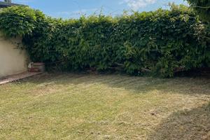 Terreno edificabile e cortilivo con rustico