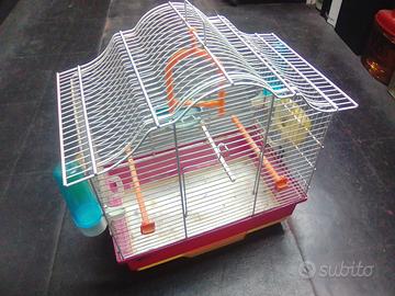 Gabbia uccellini con altalena