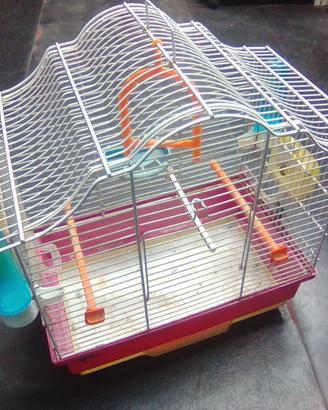 Gabbia uccellini con altalena