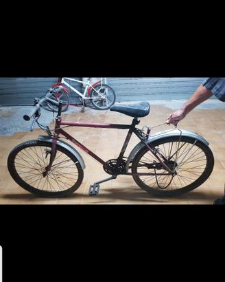 Mtb da Sistemare 