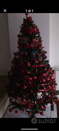Albero
