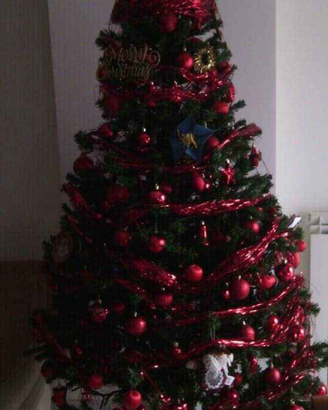 Albero
