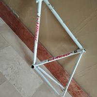 telaio MOSER