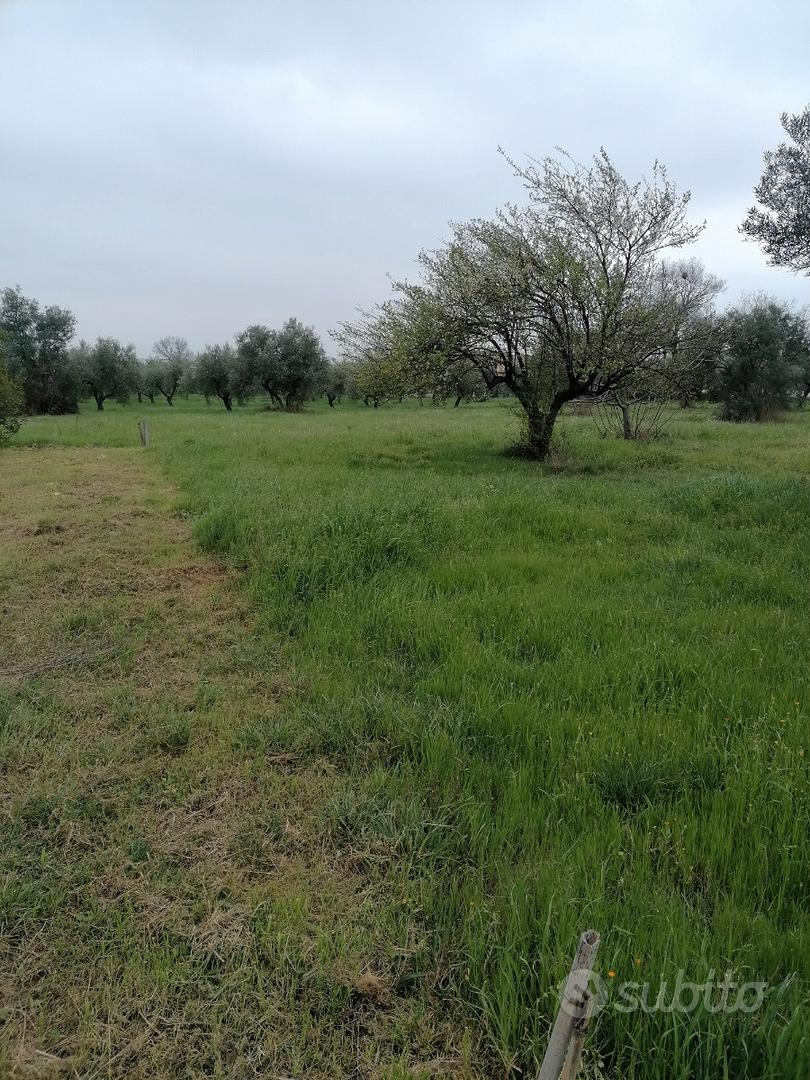 InsVendo 840 metri quadrati di terreno edificabile - Vista 2