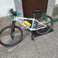 mtb bimbo 