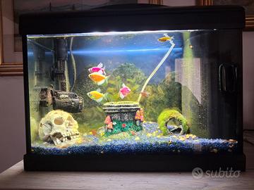 acquario 40 lt