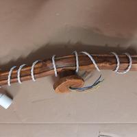 portalampada testa di toro