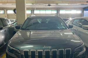 Jeep Cherokee 2.2 Mjt II 4WD Active Drive I Overla