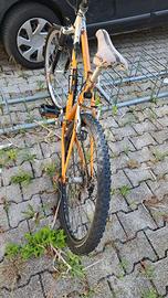 MTB Bianchi – Telaio Arancione