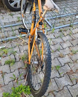 MTB Bianchi – Telaio Arancione