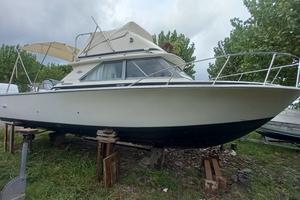 Bertram 28 Fly Diesel Linea D'asse