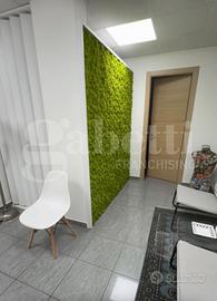 Ufficio Latina [Cod. rif 3339504ACU]
