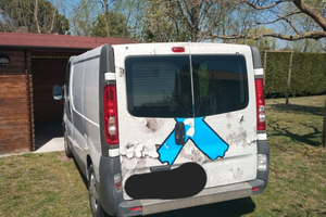 Porte per renault traffic