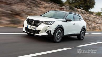 Ricambi musata porte Peugeot 2008