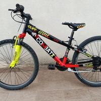 bicicletta ragazzo