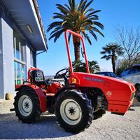 Trattore Goldoni Antonio Carraro Ferrari Pasquali