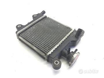 YAMAHA XENTER HW 150 RADIATORE ACQUA LIQUIDO RAFFR
