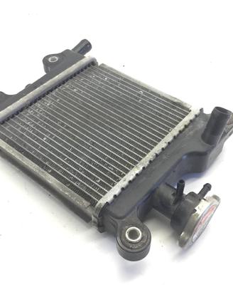 YAMAHA XENTER HW 150 RADIATORE ACQUA LIQUIDO RAFFR