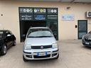 fiat-panda-1-4-natural-power-dinamic-cv-77-taglian