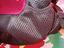 Immagine 4