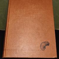 Il padrino  di Mario Puzo 