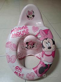 SIMPATICO VASINO E RIDUTTORE