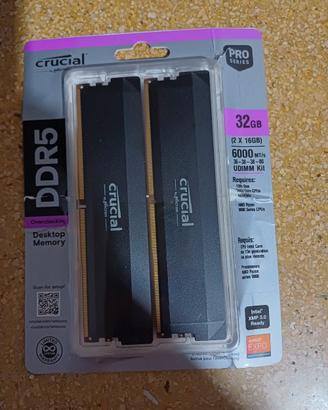 crucial pro 32gbcl36