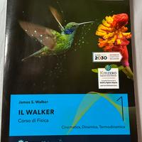 IL WALKER 1