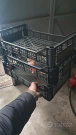 cassette per ortofrutta