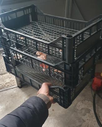 cassette per ortofrutta