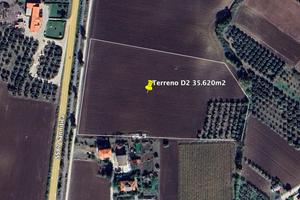 Terreno industriale D2 x Fotovoltaico