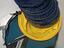 Immagine 1