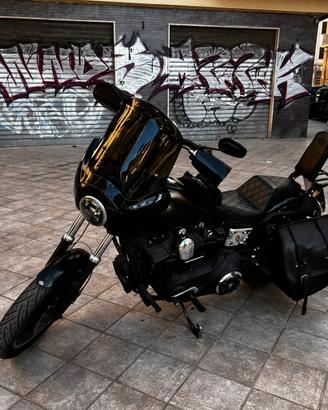 Dyna FXDX Screamin Eagle 110