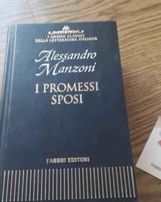 i promessi sposi libro  