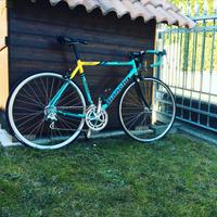 Bianchi alloy pantani