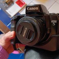 Canon EOS 5 + Canon EF 50mm f/1.8 STM