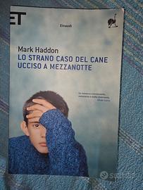 libro lo strano caso del cane ucciso a mezzanotte 