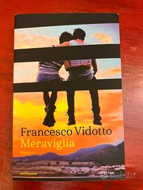 Francesco Vidotto - Meraviglia
