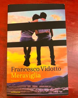 Francesco Vidotto - Meraviglia