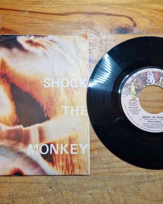 DISCO VINILE 45 GIRI  PETER GABRIEL