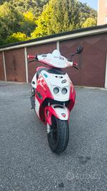 FireFox F15 Ducati Corse 
