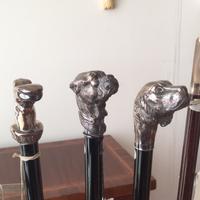 Bastone Bolcas in Argento