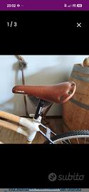 Bicicletta in Bambù 