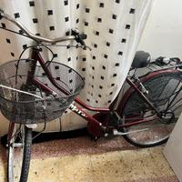Bicicletta donna