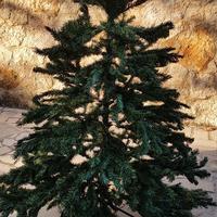 Albero di Natale pino verde base metallo 180 cm