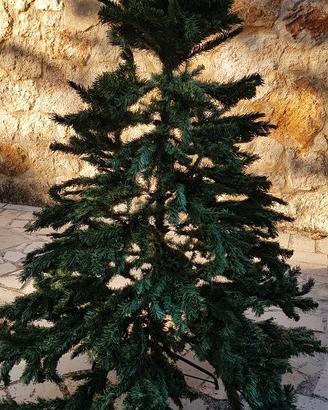 Albero di Natale pino verde base metallo 180 cm