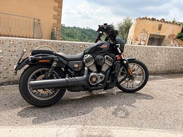Harley Davidson Nightster 975  Special 2023