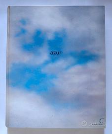 Azur. Fondation Cartier pour l'Art Contemporaine.