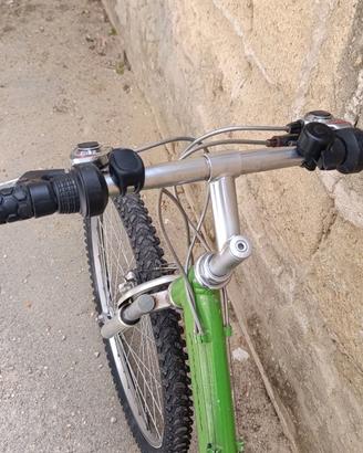 Bici bicicletta Mountain bike MTB r26 con marce