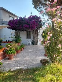 "   Casa Bouganville    " La Caletta 